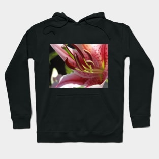 Beautiful photograph of lily flower Hoodie